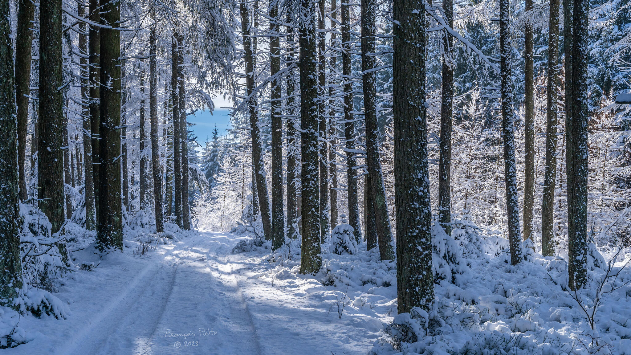 La neige à Ottré [Photo de François Piette]
