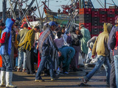 L'arrivée de la pêche à Essaouira