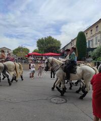 La manade