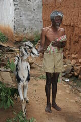 Inde