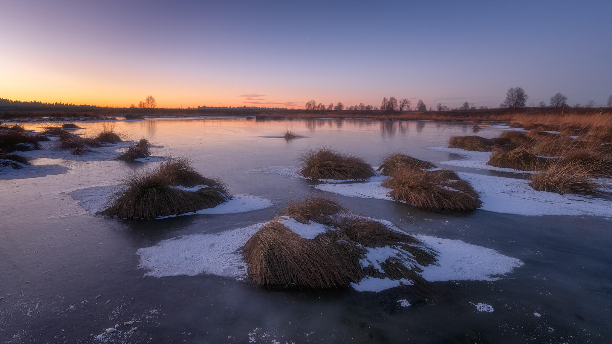 La fagne de Brackvenn [Photo de Marie José Gauthier]