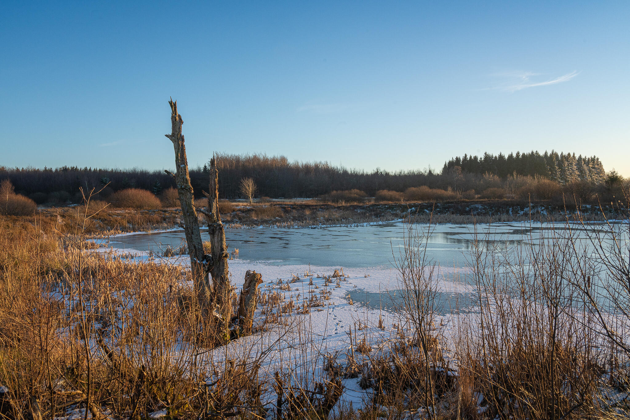 La lande de Brackvenn - Marie-Anne [Photo de Marie-Anne Pauwels]