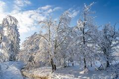 Neige, soleil et ciel bleu