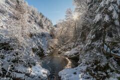 Dans le canyon du Trôs-Marèts . (Malmedy)