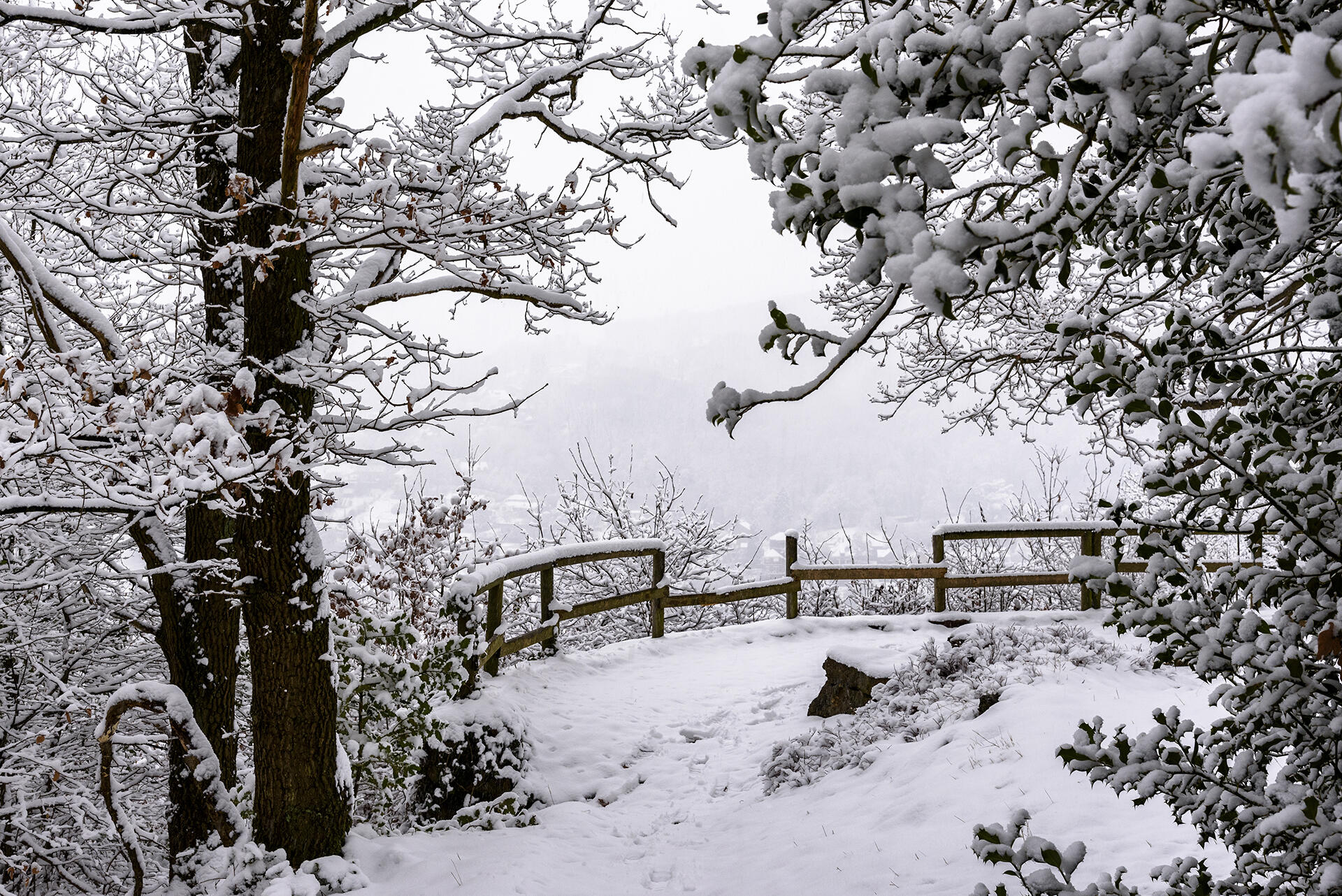 Gros flocons sur la colline, Beaufays, Belgique [Photo de Marie-Christine Vincent]