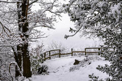 Gros flocons sur la colline, Beaufays, Belgique