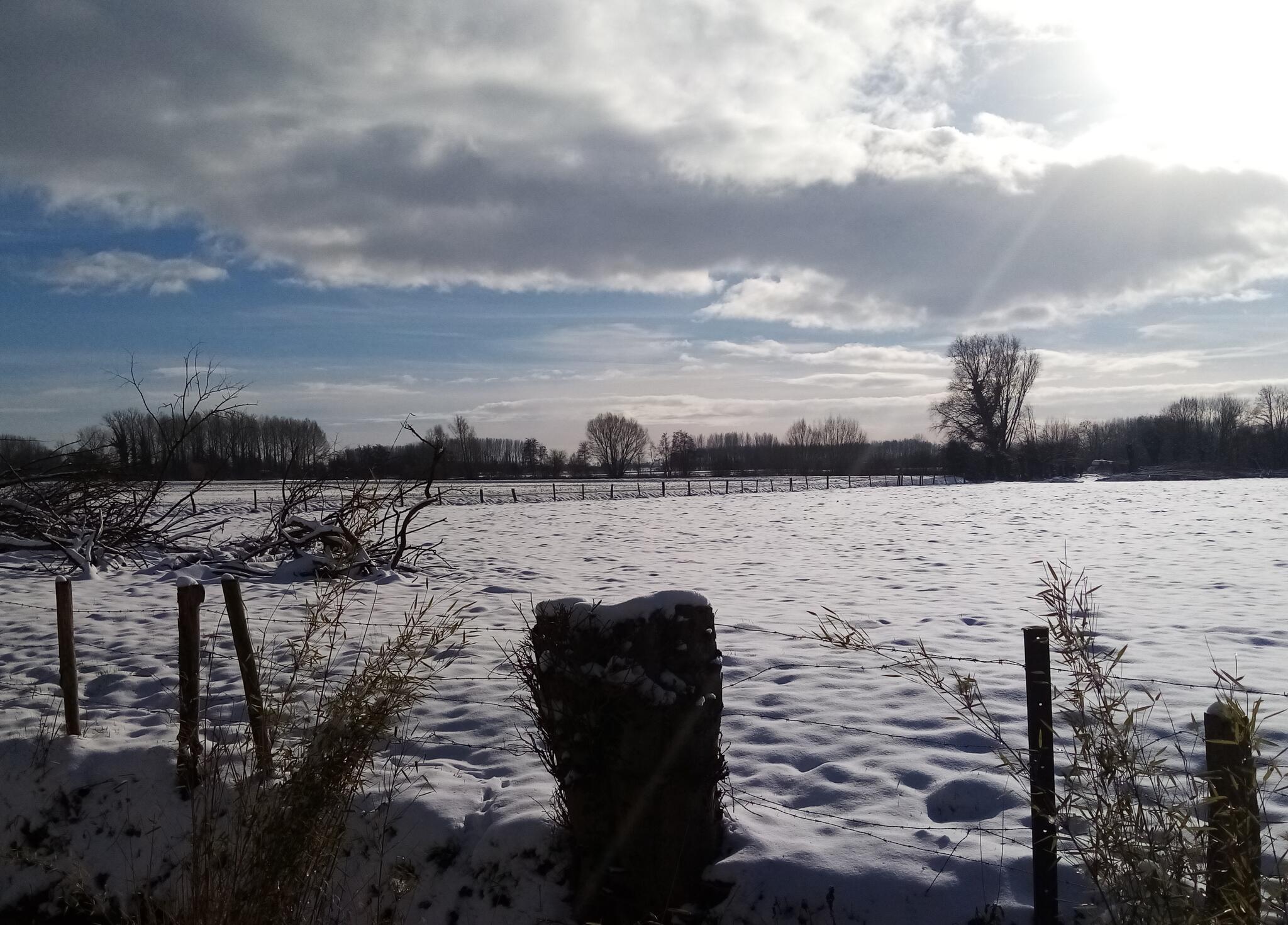 Quelle belle neige  [Photo de Rita Autem]