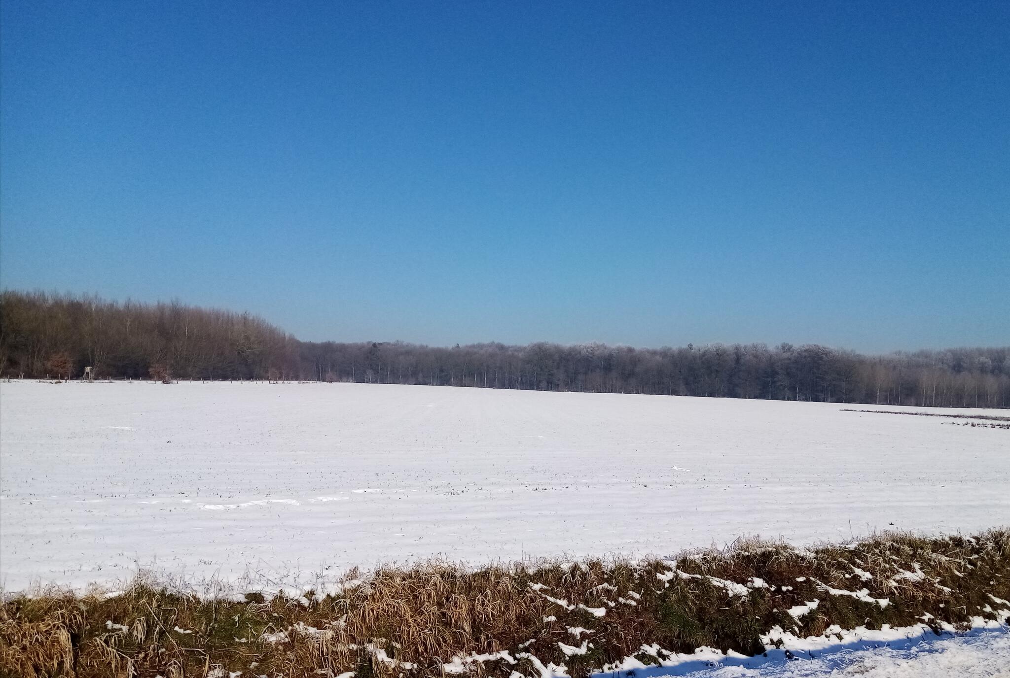 Quelle belle neige  [Photo de Rita Autem]