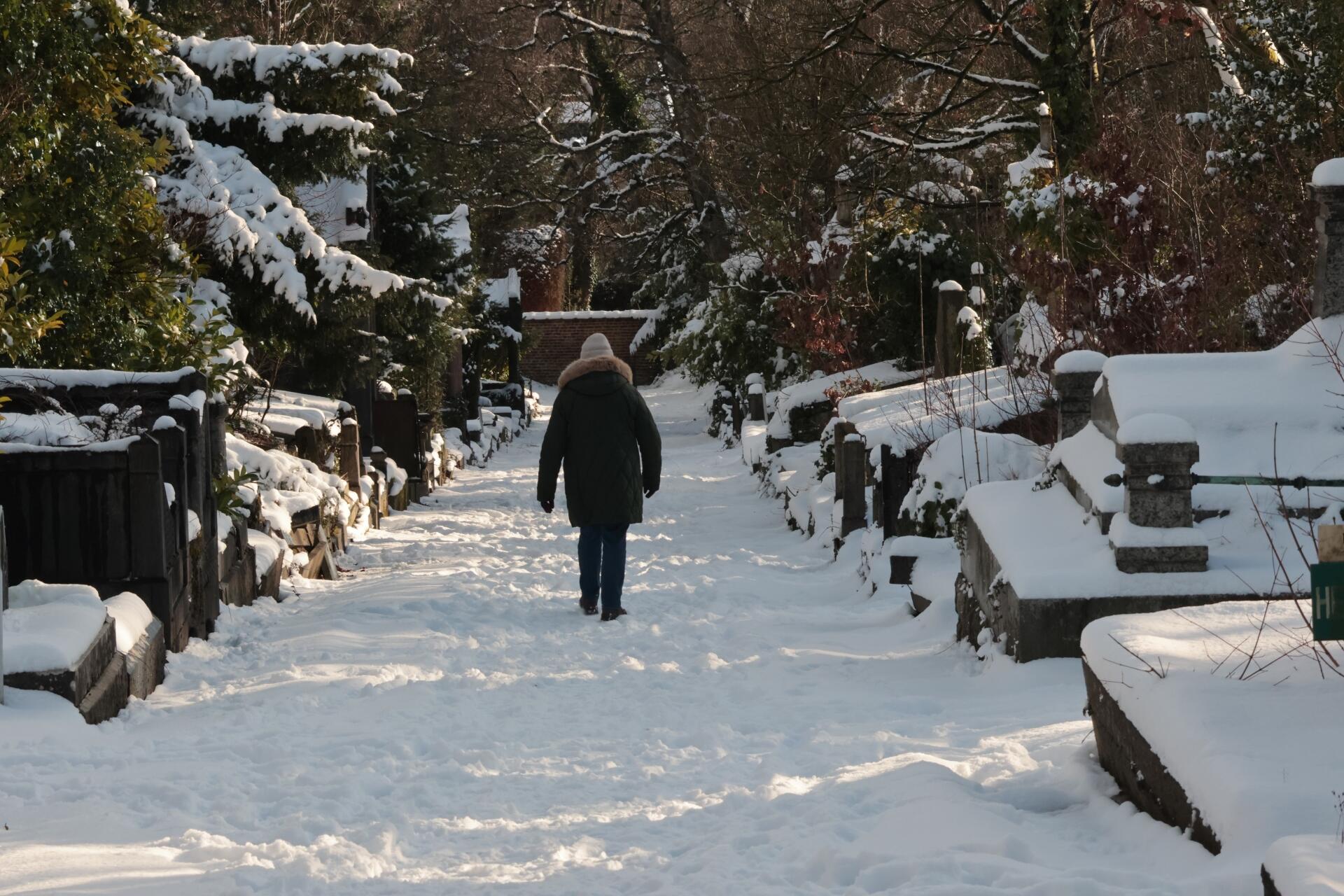 La neige en deuil [Photo de Jean Putzeys]