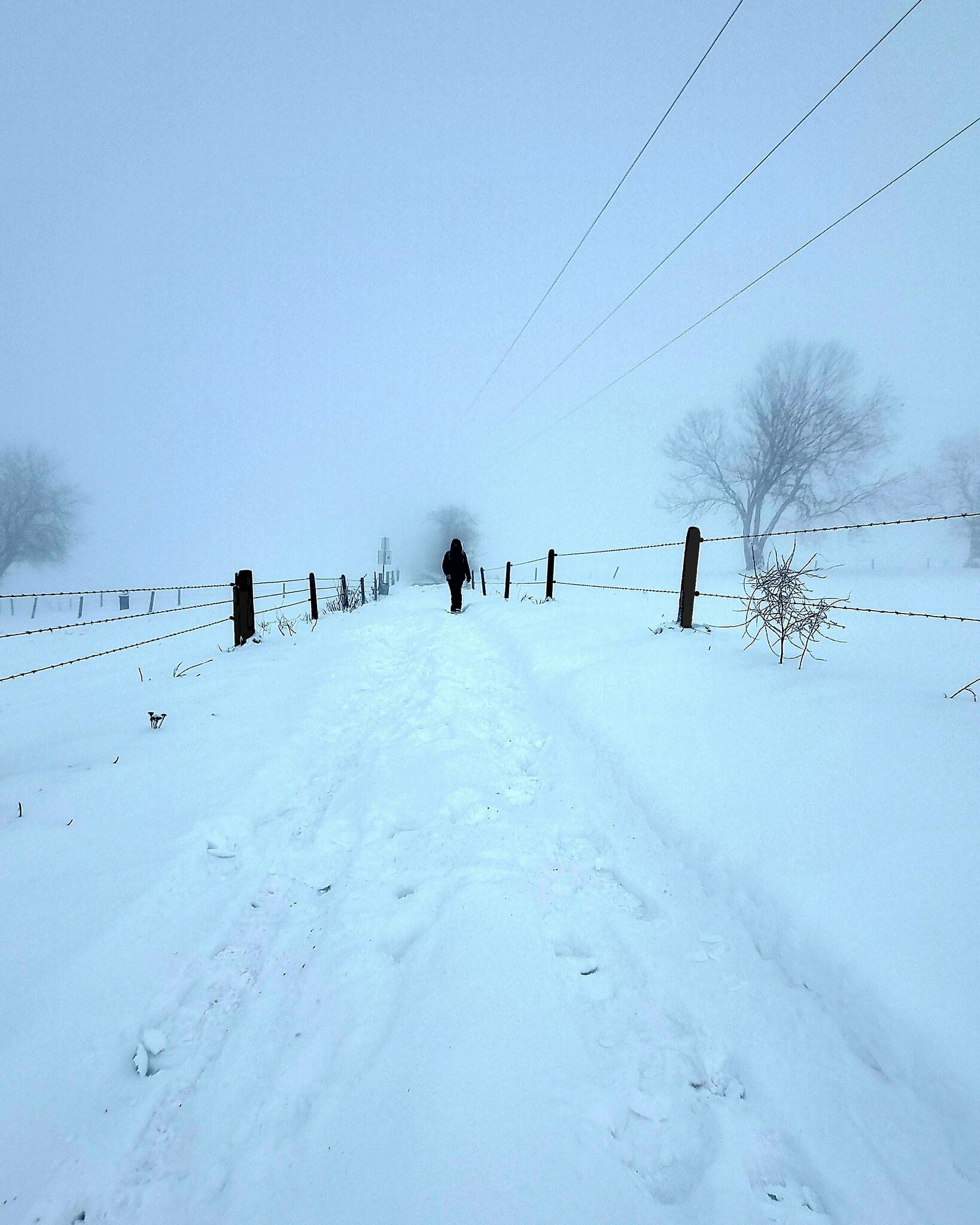Sans titre [Photo de Christophe Leonard]
