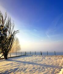 Brume glacée 