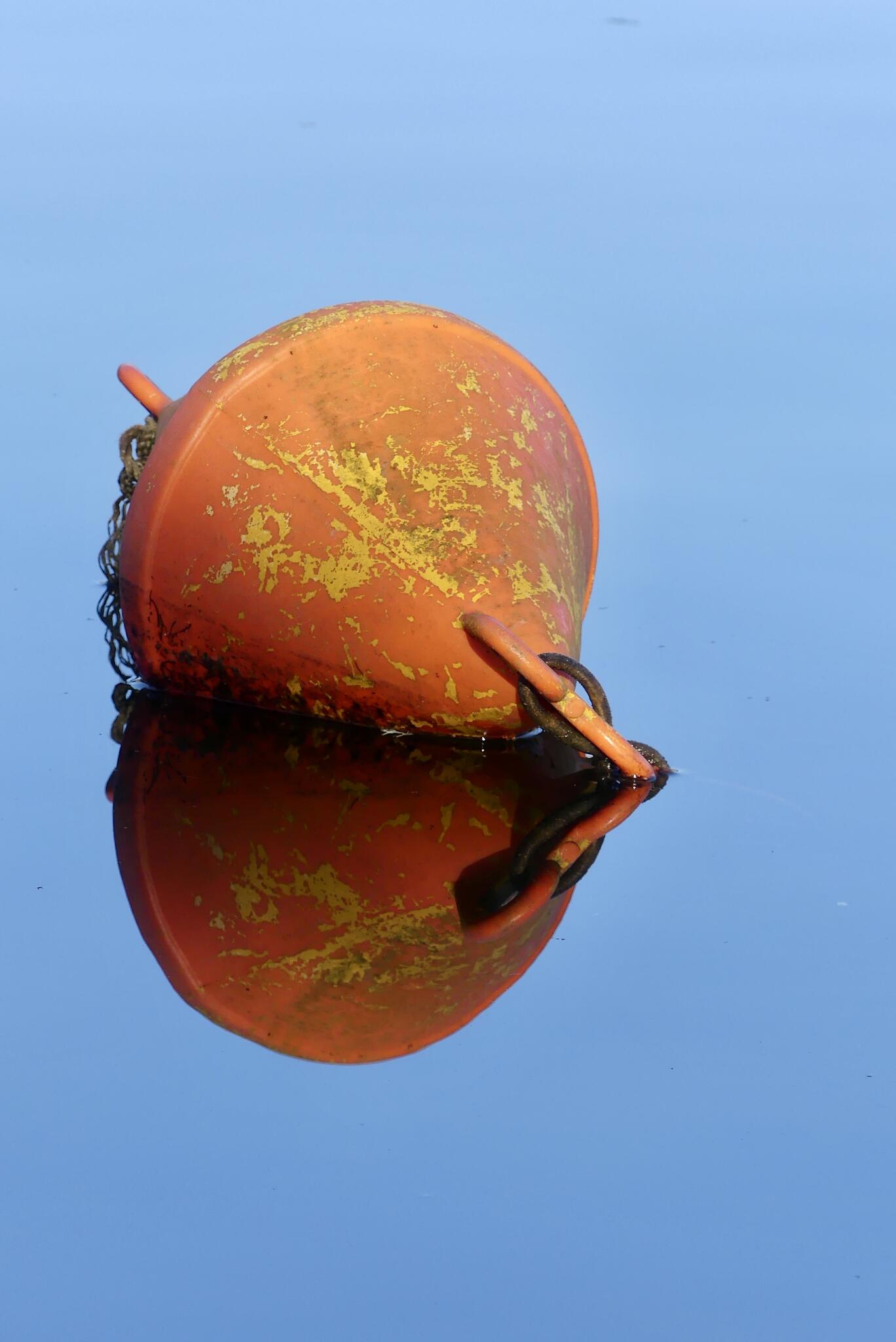 Minimaliste [Photo de Virginie Crevoisier]