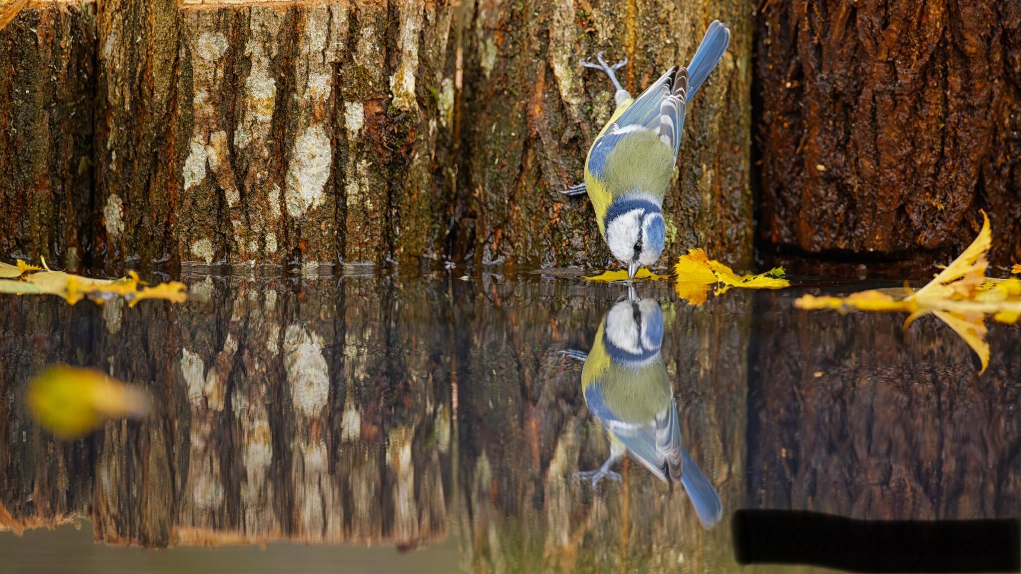 Hydratation [Photo de Stéphane Vilmin]