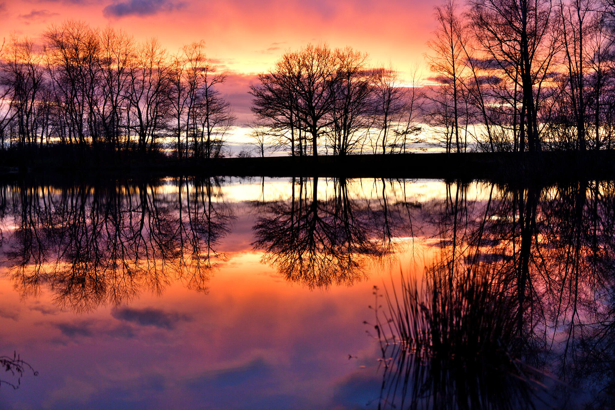 Reflet d'un soir sur l'étang. [Photo de Gilles Arnoud]