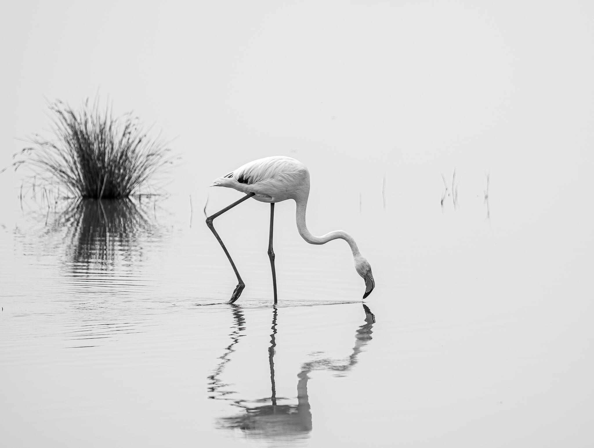 Zénitude [Photo de Mauricette Martin]