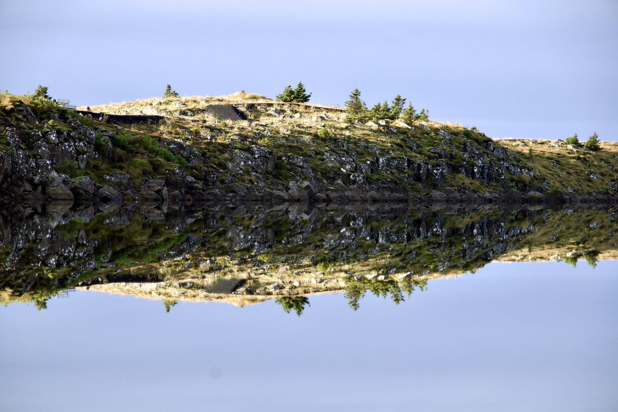 microcosme ou reflet ? RLPftJ [Photo de Sylvie Vick]