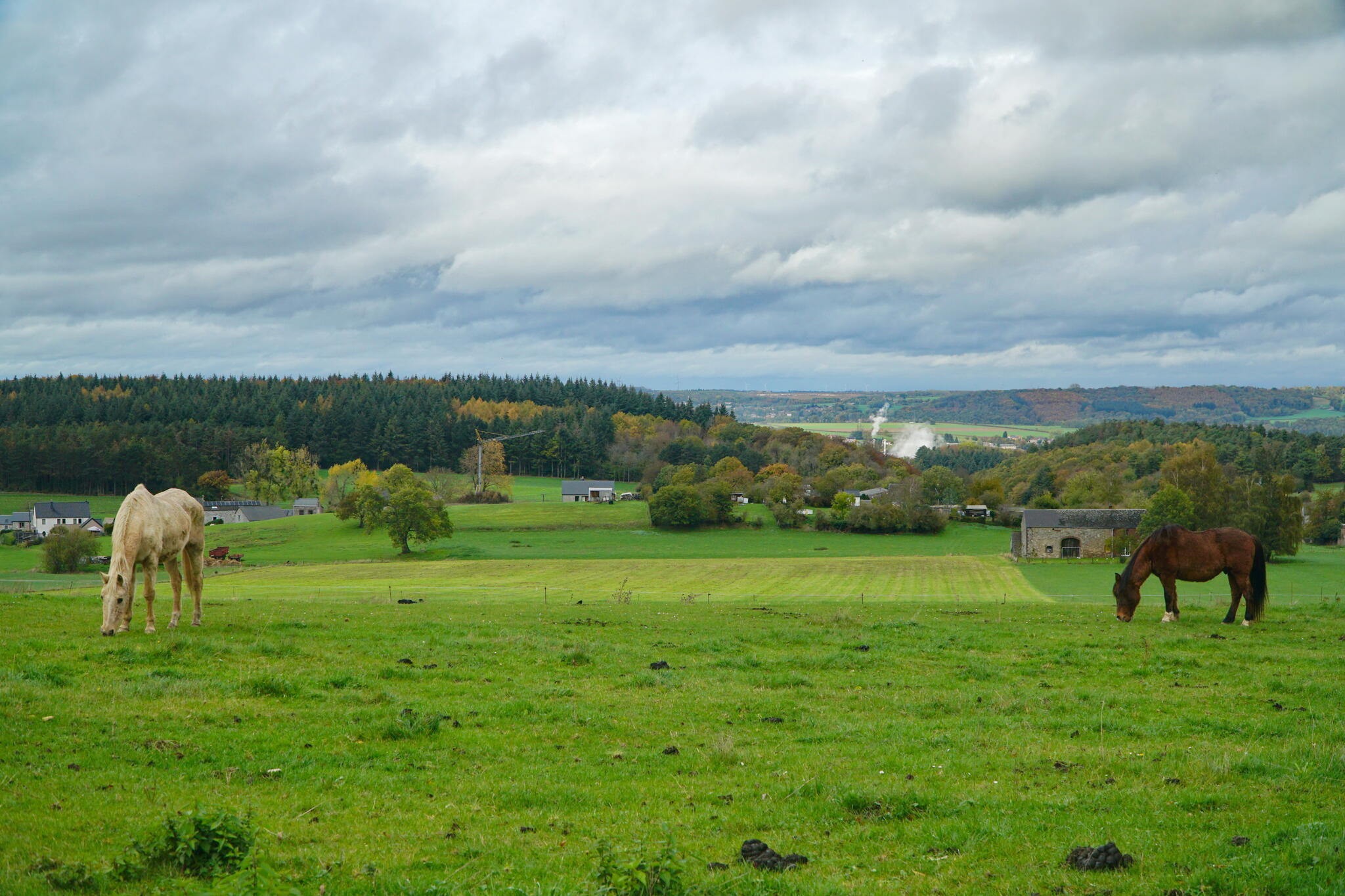 Saint-Léonard