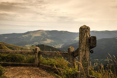 Vosges