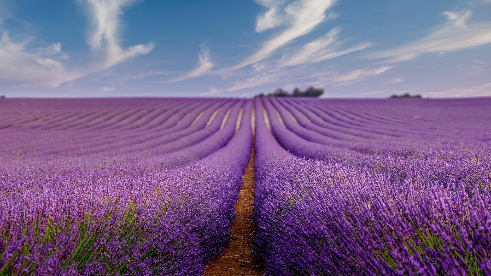 Provence