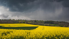 L'orage
