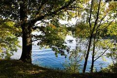 Par le bout de la lorgnette