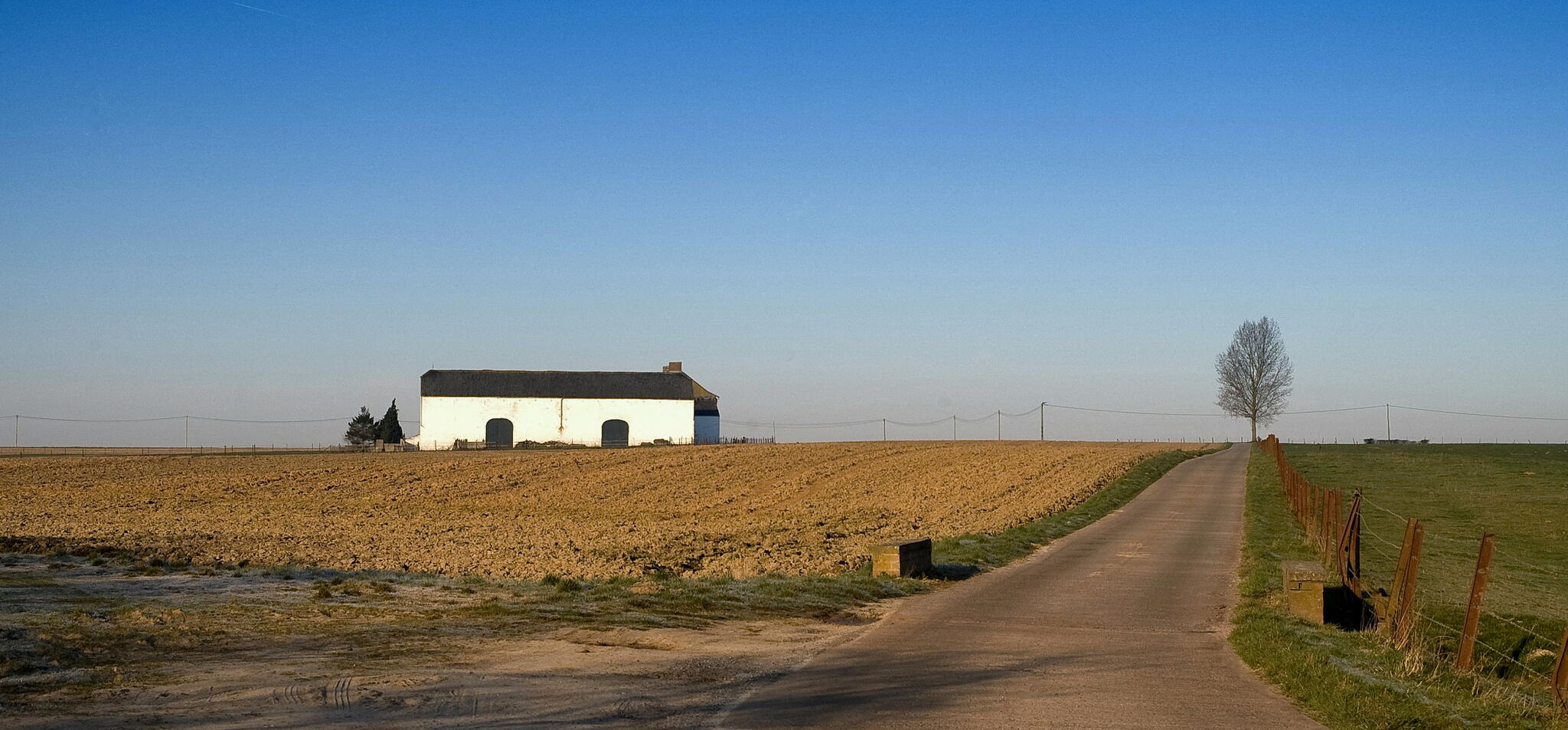 Un arbre, une ferme
