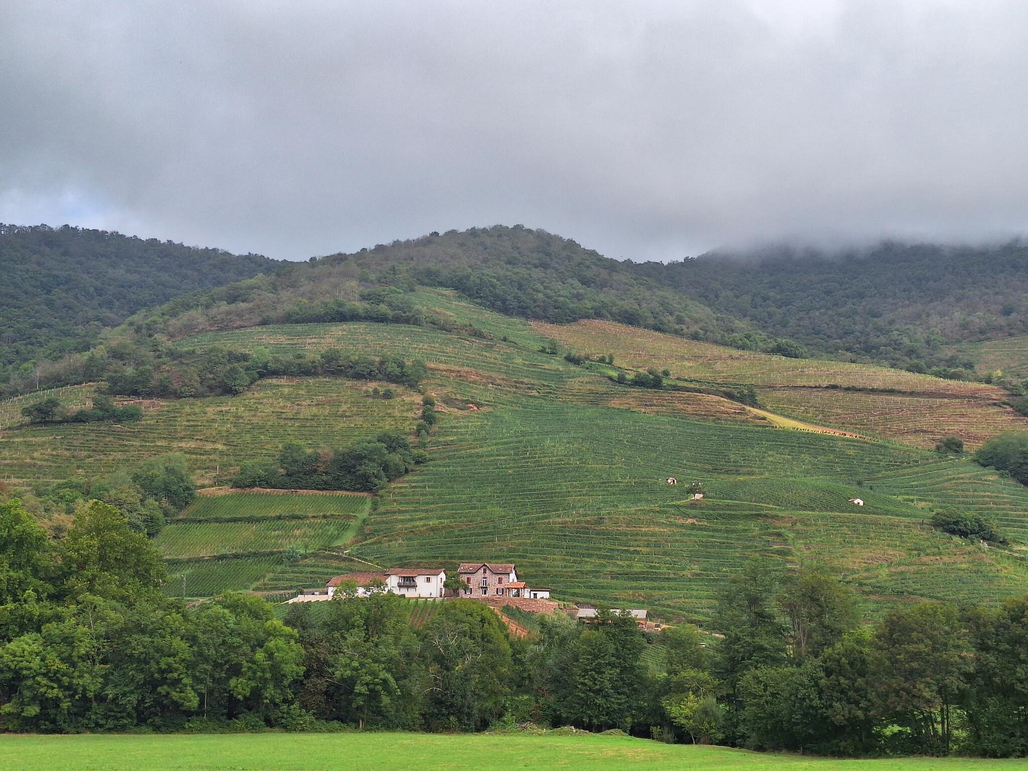 Domaine MOURGUY A.o.c. IROULEGUY