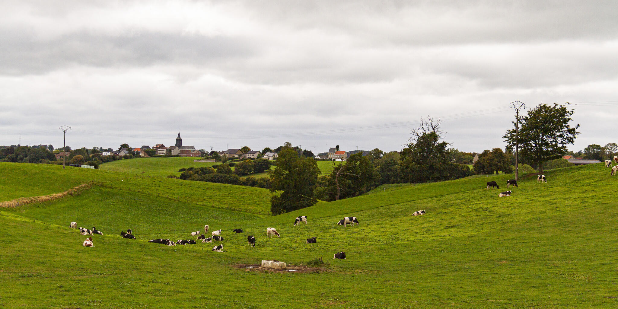 campagne andrimontoise