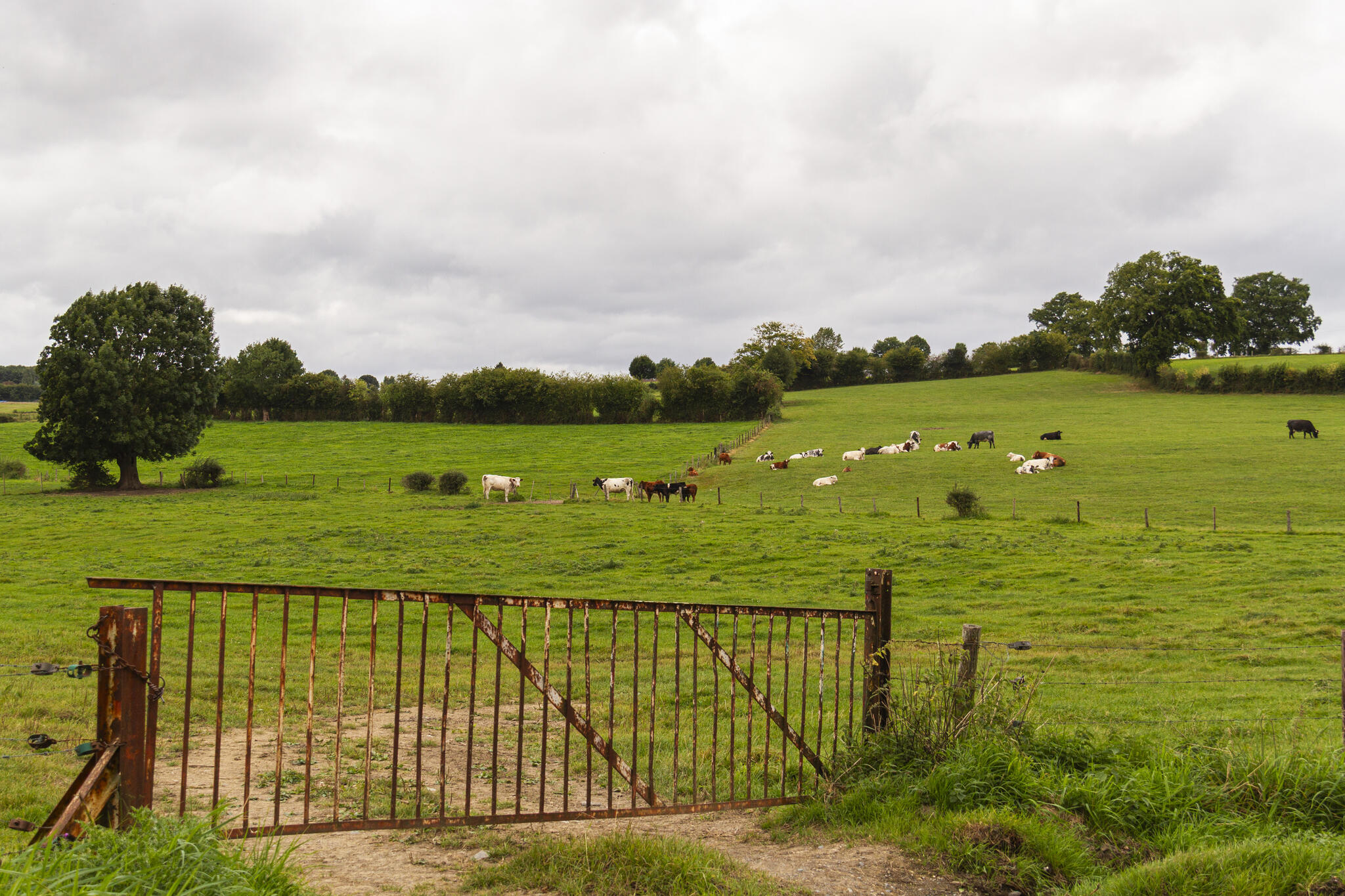 pousser la barrière