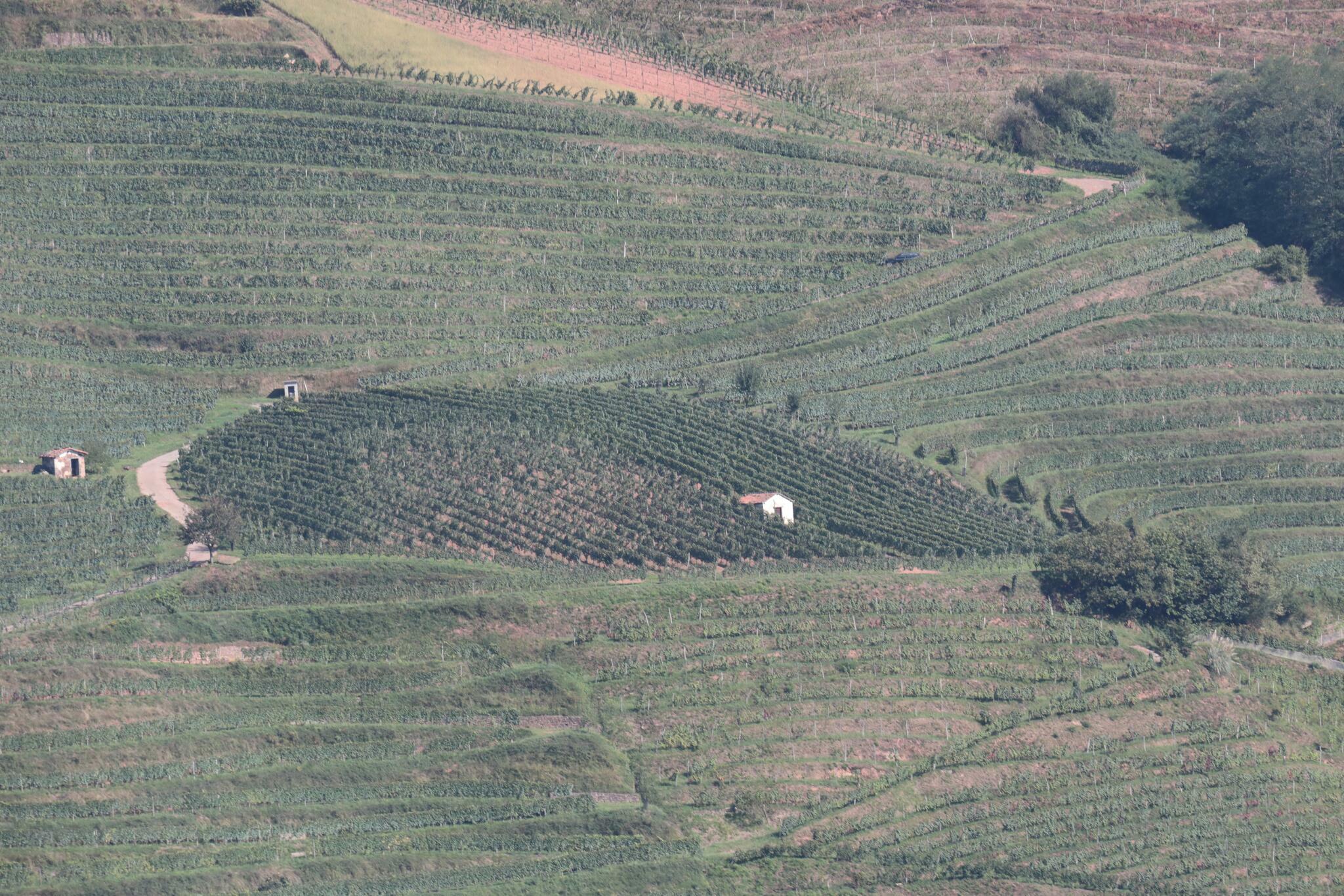 Domaine MOURGUY A.o.c. IROULEGUY