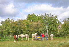 On cueille, on papote... en bonne compagnie