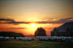 Rentre ton foin tant que le soleil brille