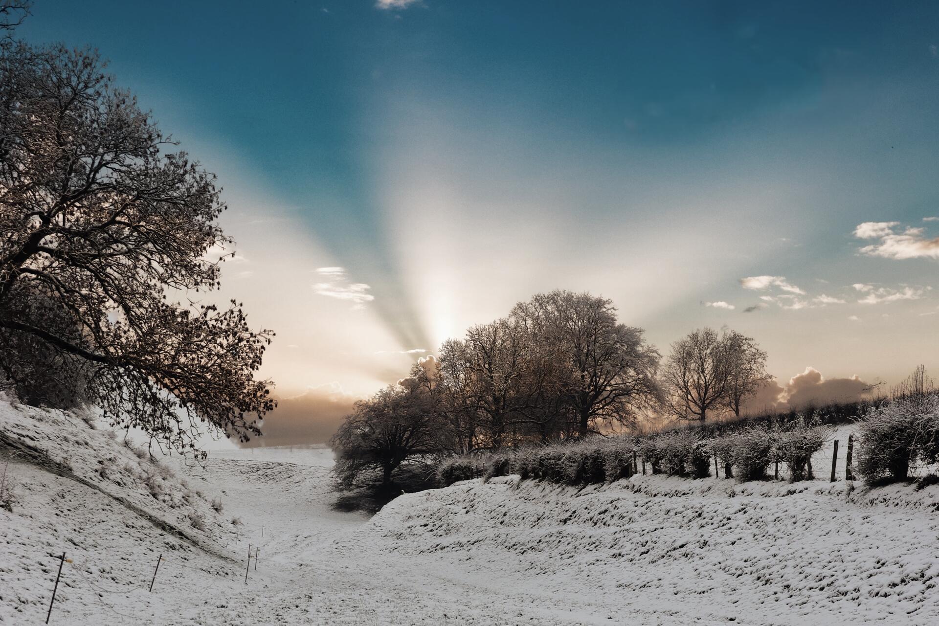 Soleil d'hiver