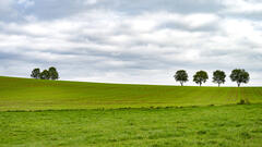 Campagne luxembourgeoise