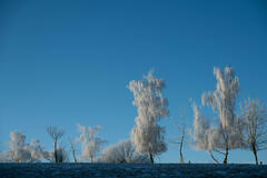 Tout de blanc vêtus.