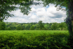 Paysage du pays de Herve