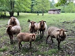 Et je me sens subitement très intéressante !