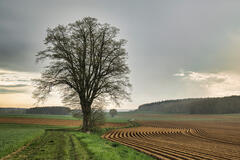 Lignes de terre, lignes de vie