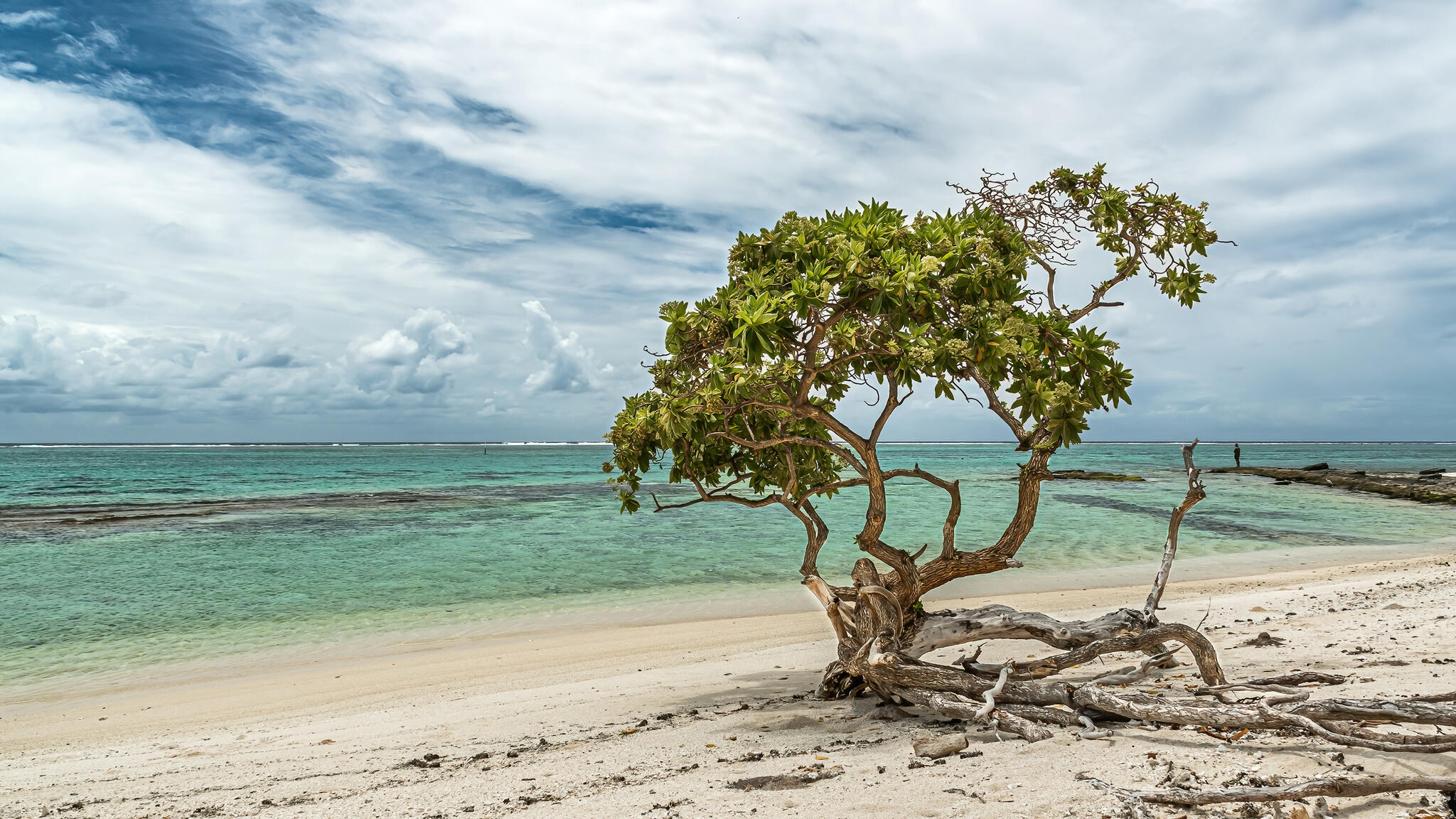 A la dérive [Photo de Mauricette Martin]