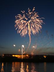 le palmier de l'artificier