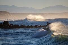 Surf