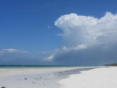 Sable blanc à Diani Beach