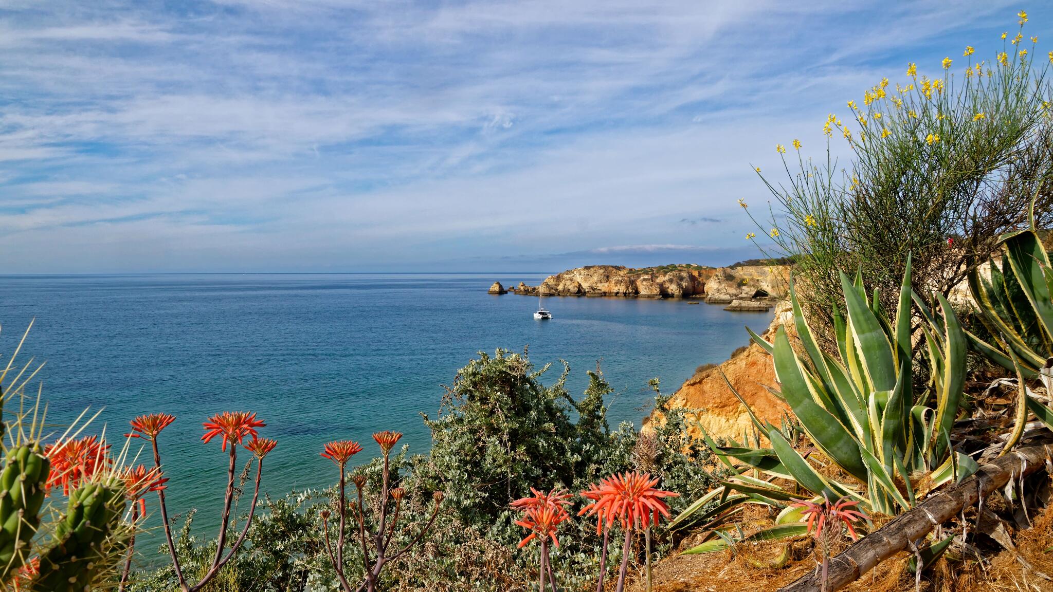Chemin de randonnée, sud du Portugal [Photo de Gérard Bronnec]