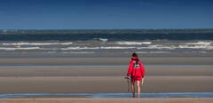 Lifeguard