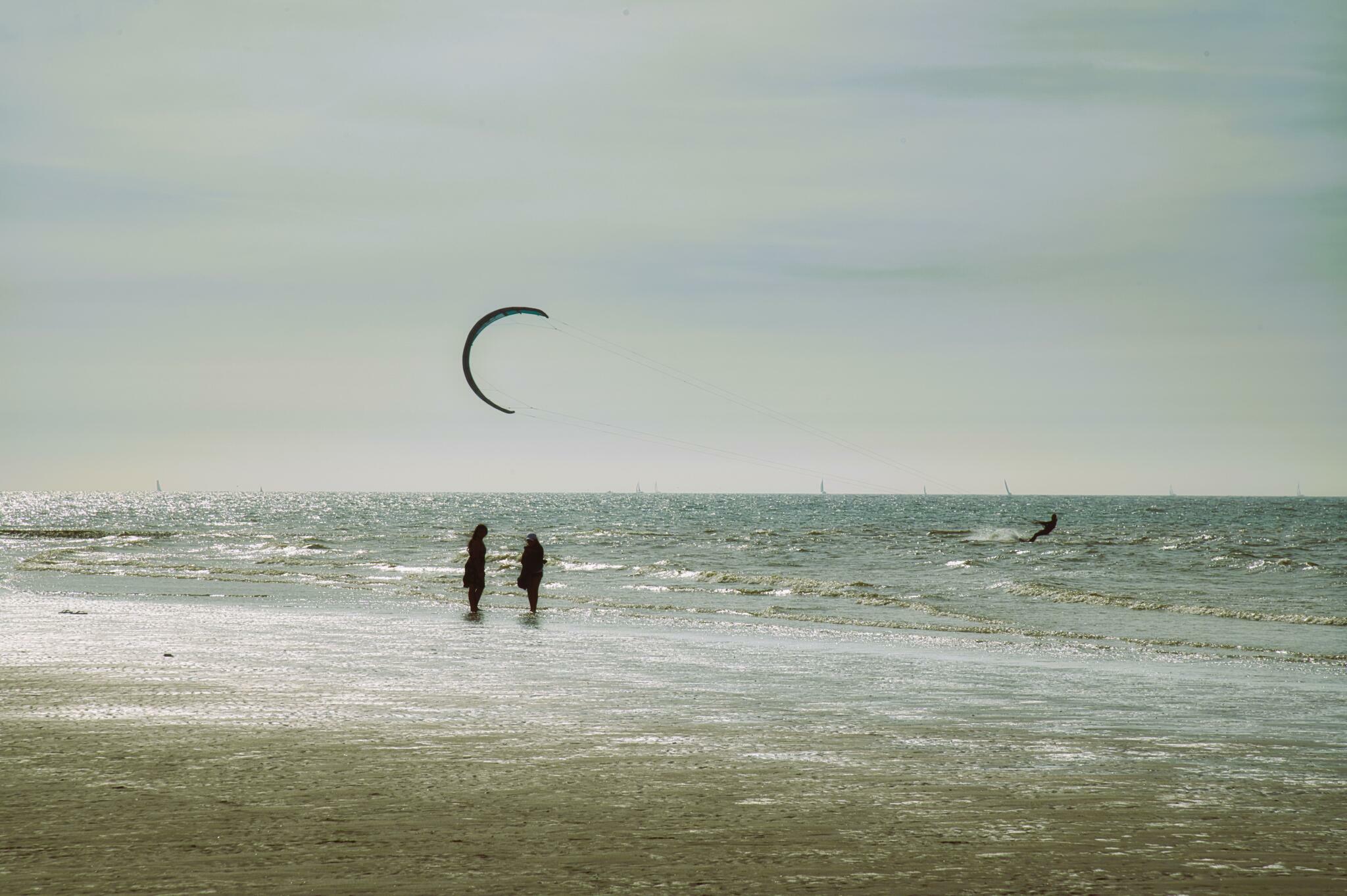 Au clair de la lune ! [Photo de Luc Jacquemin]