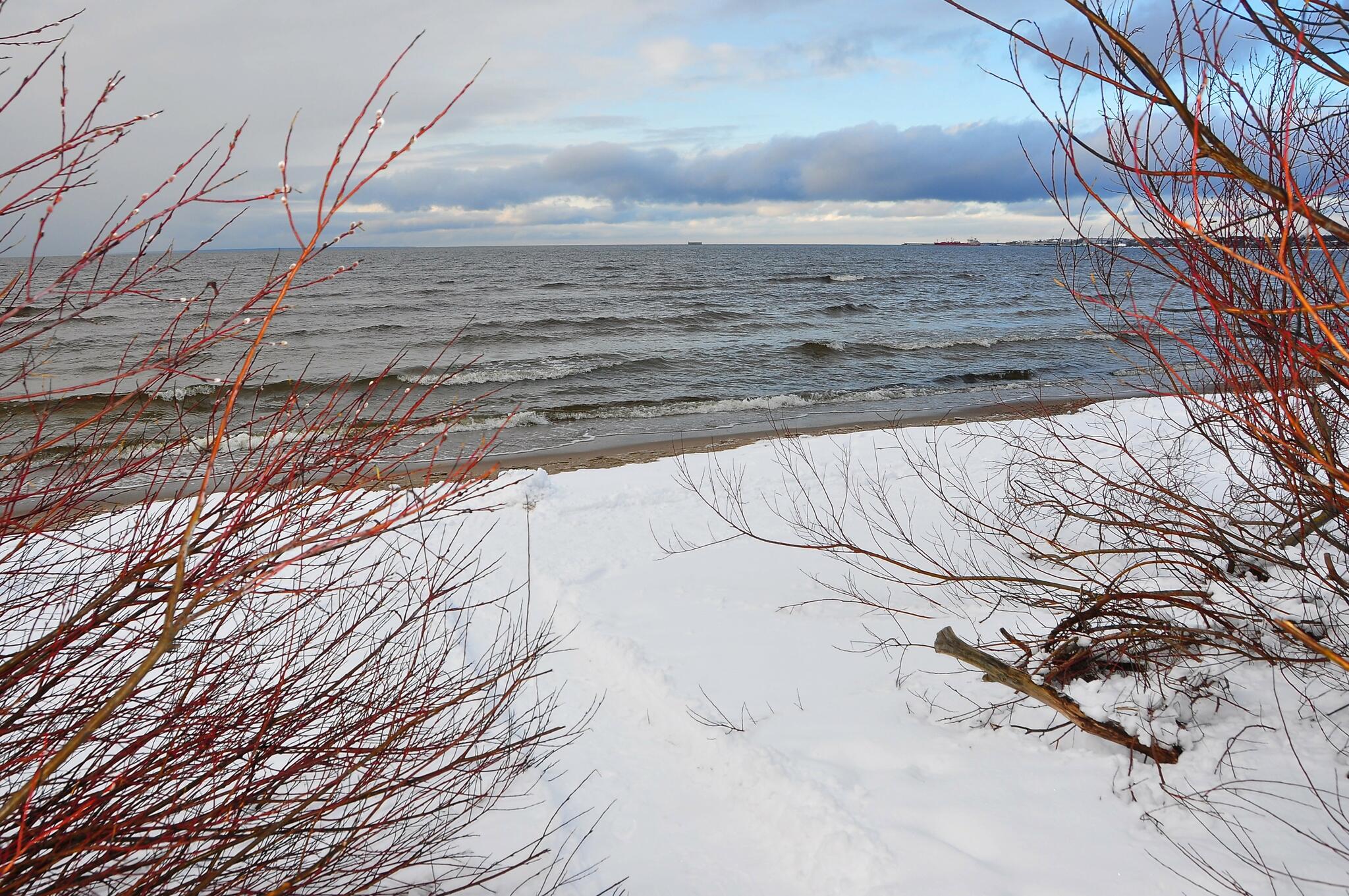 Boréale ... (plage enneigée, Tallinn, Estonie) [Photo de Françoise Buchet]