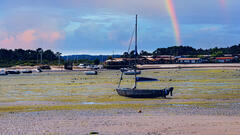 Bassin d'Arcachon