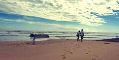 Plage du Goulet. Vendée