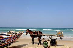 Senegal