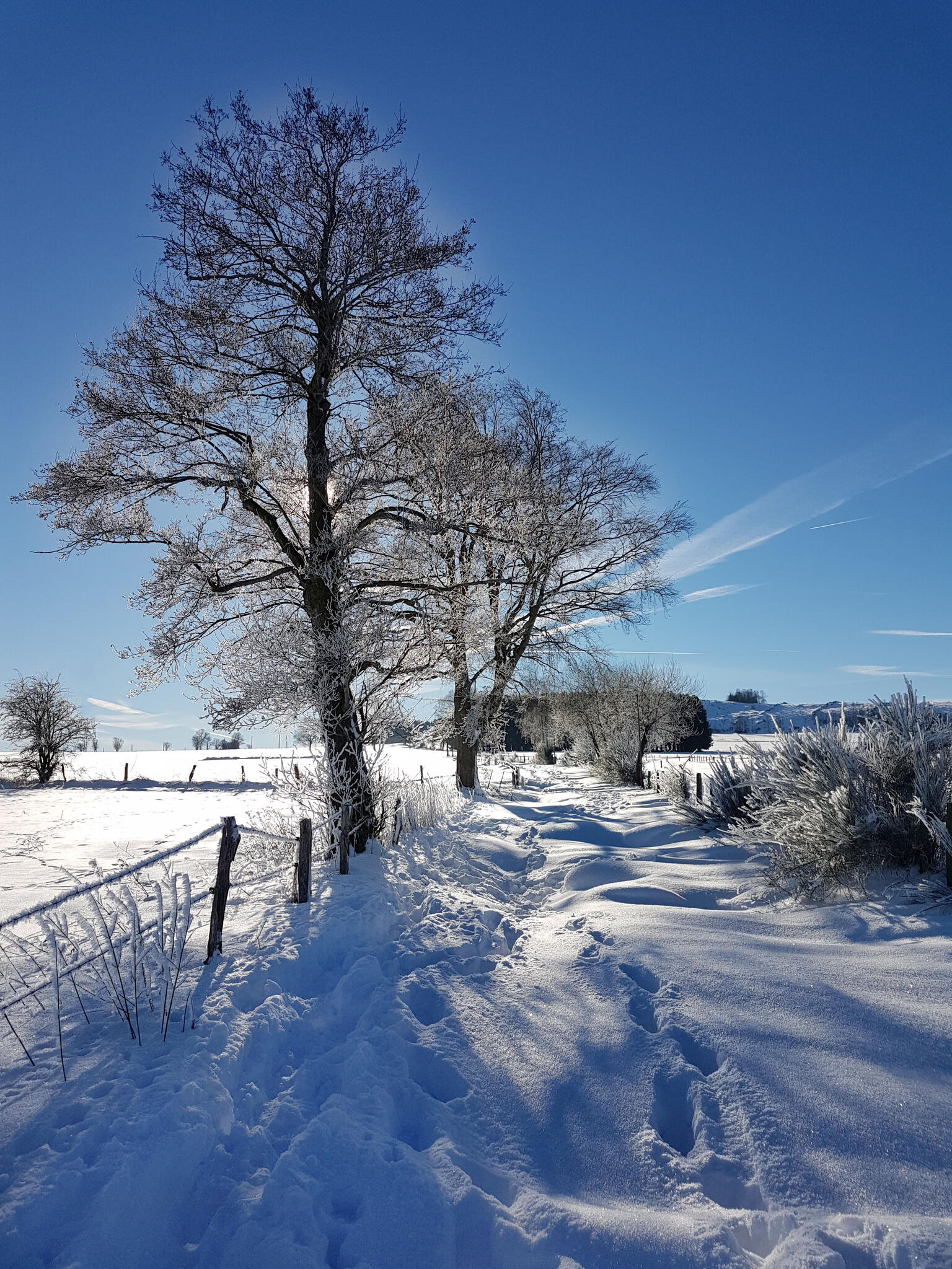 Un soleil pas si timide [Photo de François Piette]